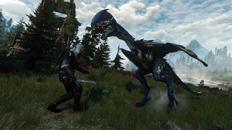 witcher 3 dragon